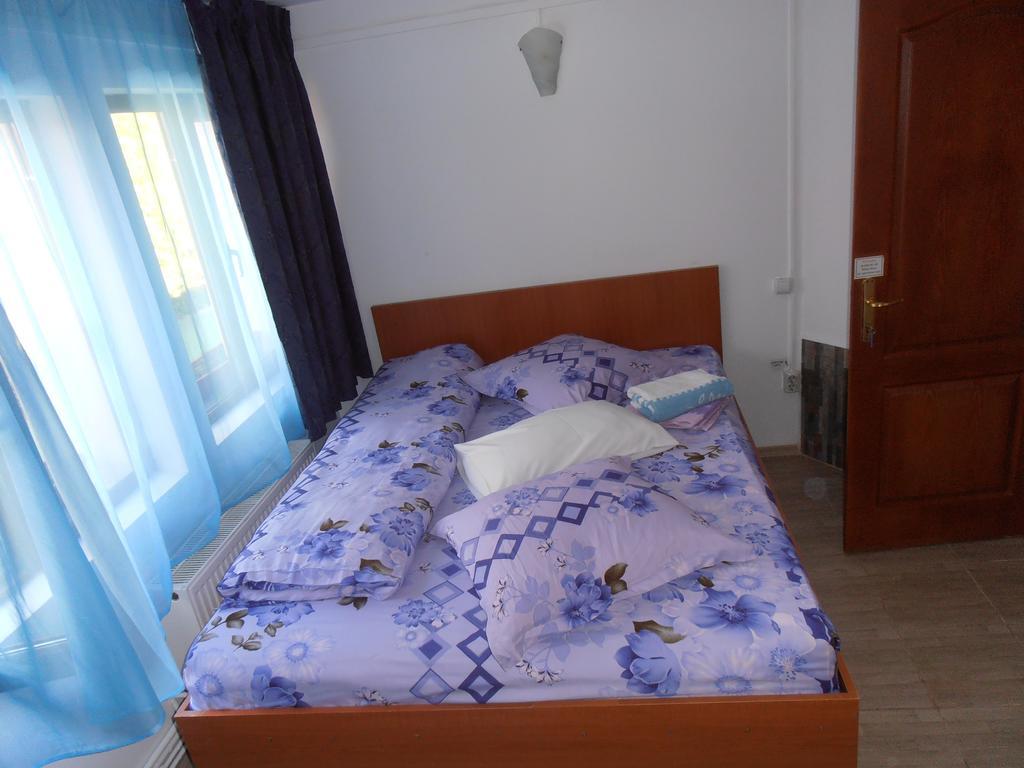 Pensiunea Sans Rival Iasi Room photo